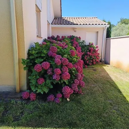 Charmante Maison De Navarrosse Hébergement de vacances Biscarrosse